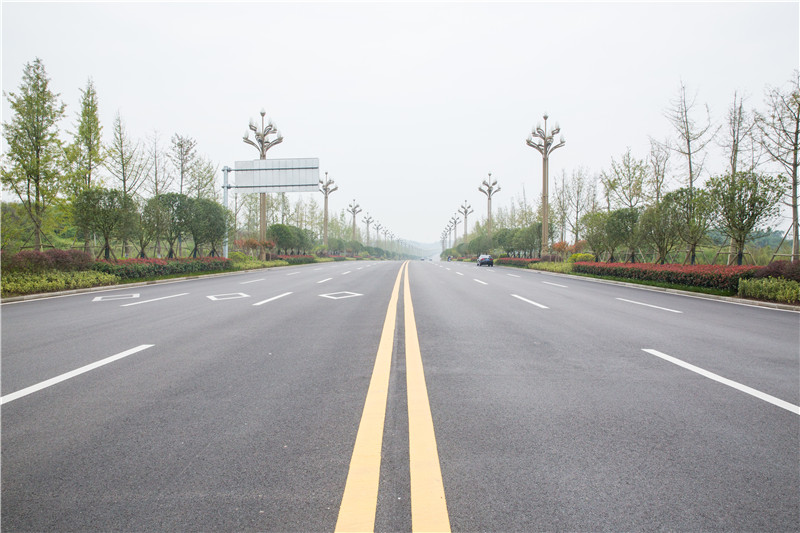 向阳路 (8)